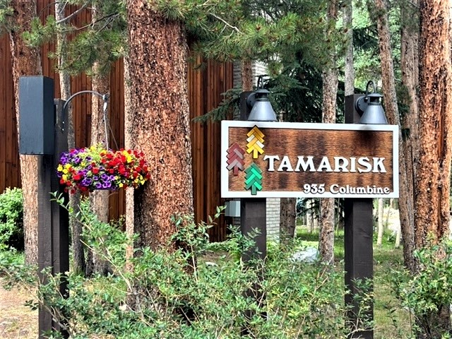 Photo of Tamarisk
